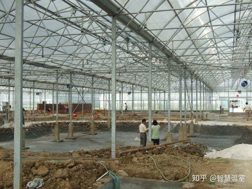 現代設施農業(yè)的基石 薄膜連棟溫室大棚全面解析