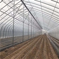 連棟薄膜溫室大棚 結構解析、價格因素與大棚薄膜選型指南