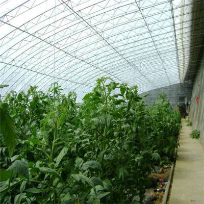 鋼結構薄膜大棚工程造價解析及優(yōu)質供應商推薦——以七洲種植花卉為例